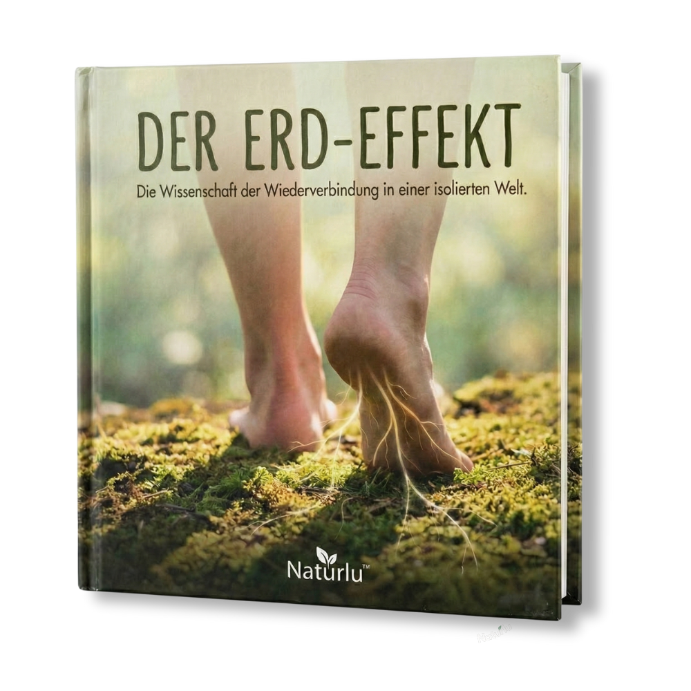 Unser Erdungsleitfaden E-Book